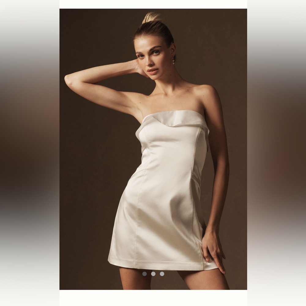 Anthropologie NWT Sm BHLDN lovely organza lined strapless mini dress w/back zip